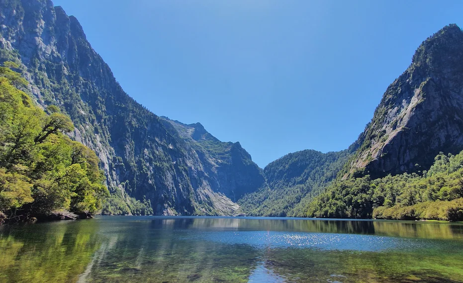 Sendero y bosque húmedo en el Parque Nacional Alerce Andino, Región de Los Lagos